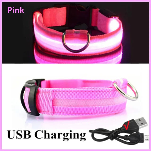 LED Glowing Dog Collars Rechargeable - Pawsyhome