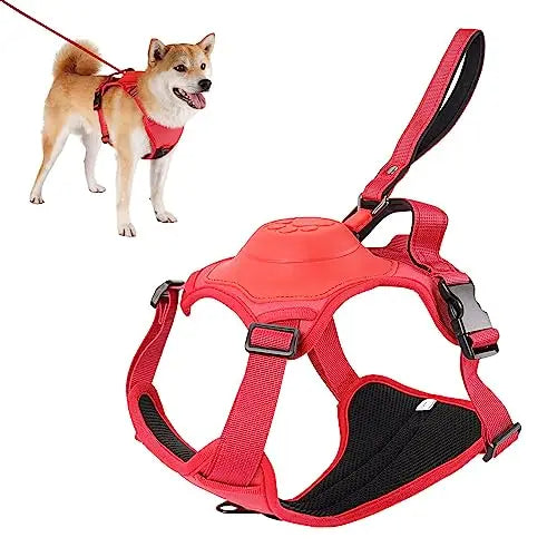 Dog Harness and Automatic Retractable Leash Kit - Pawsyhome