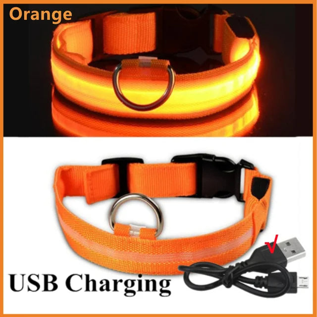 LED Glowing Dog Collars Rechargeable - Pawsyhome
