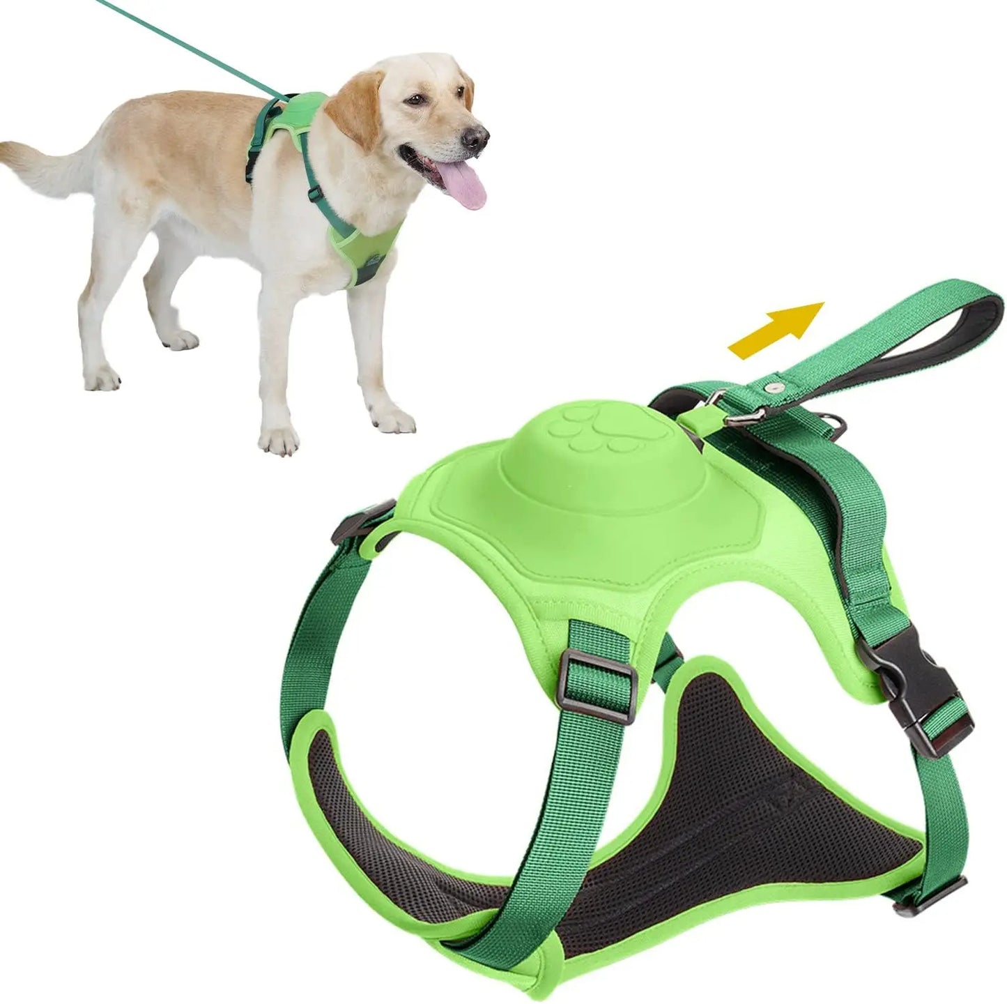 Dog Harness and Automatic Retractable Leash Kit - Pawsyhome