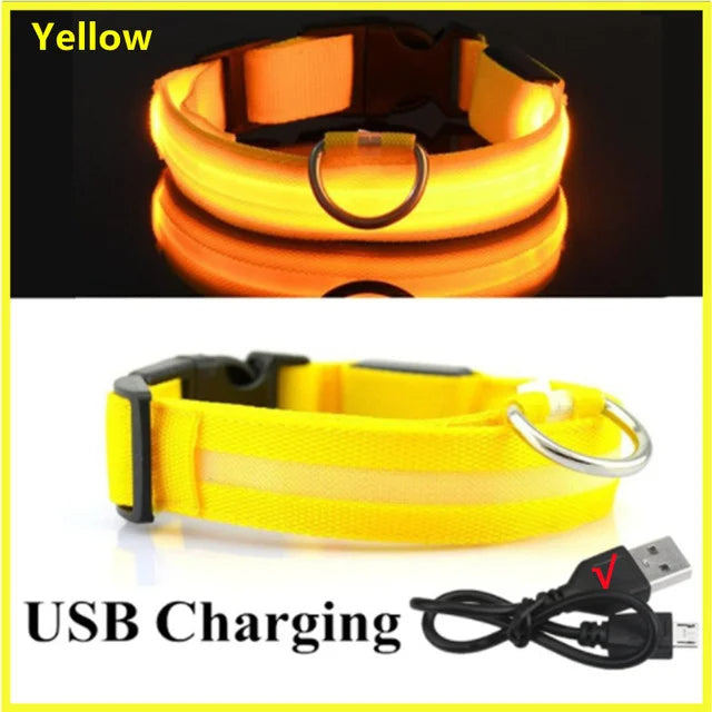 LED Glowing Dog Collars Rechargeable - Pawsyhome