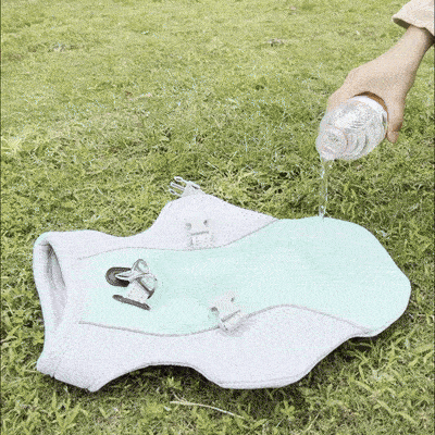 Summer Dog Cooling Vest - Pawsyhome