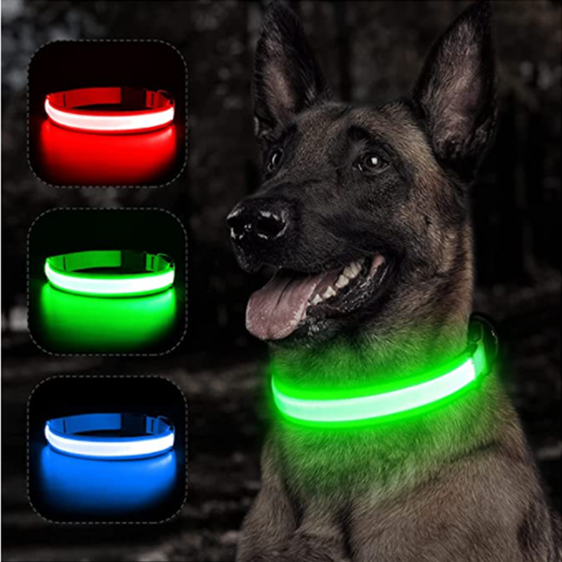LED Glowing Dog Collars Rechargeable - Pawsyhome