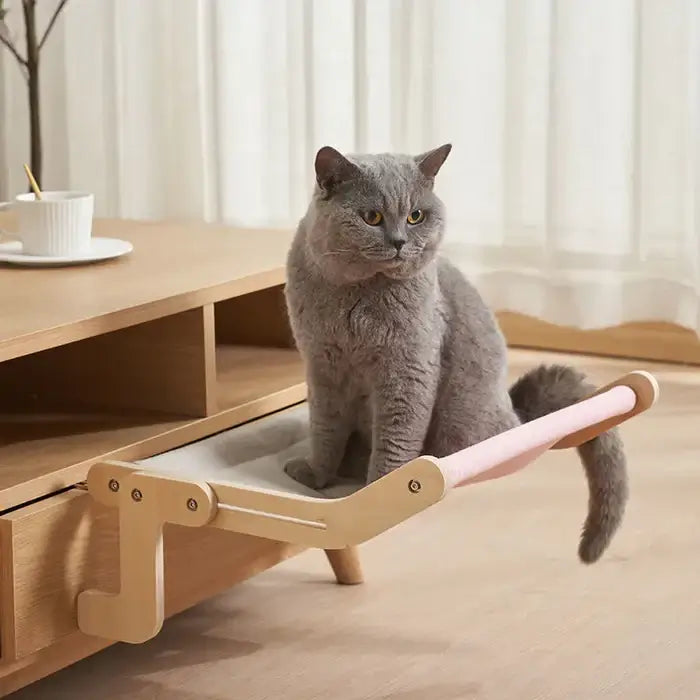 Sturdy Hanging Cat Bed - Pawsyhome
