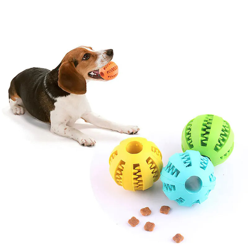 Elastic Chew Toy for Dogs - Pawsyhome