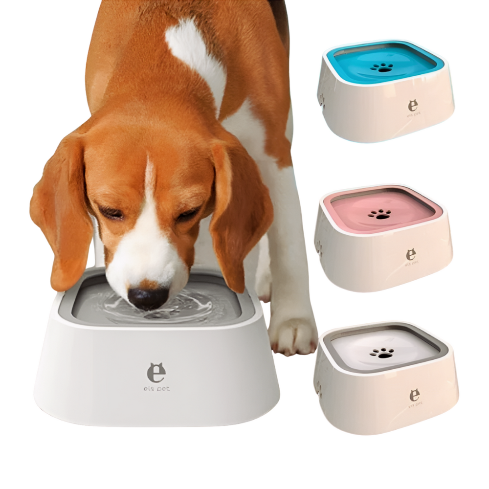 Anti-Spill Dog Water Bowl - Pawsyhome