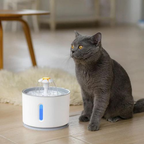 Automatic Cat Water Fountain - Pawsyhome