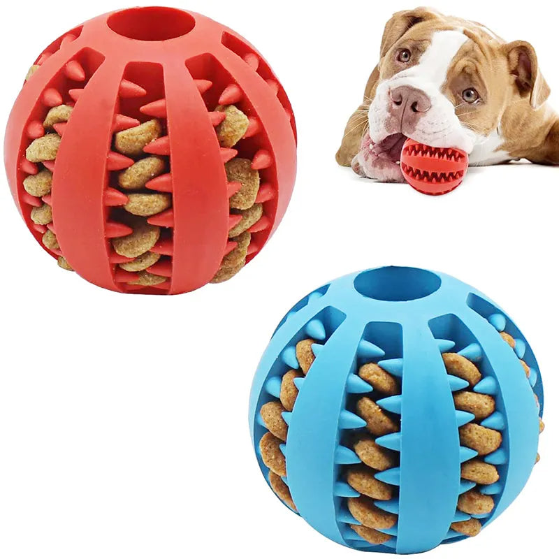 Elastic Chew Toy for Dogs - Pawsyhome