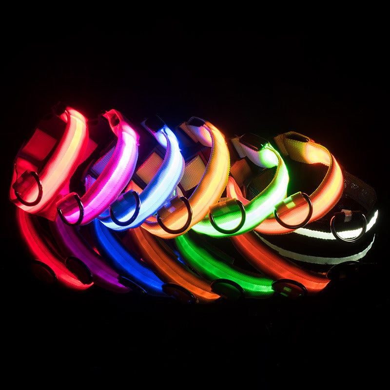LED Glowing Dog Collars Rechargeable - Pawsyhome