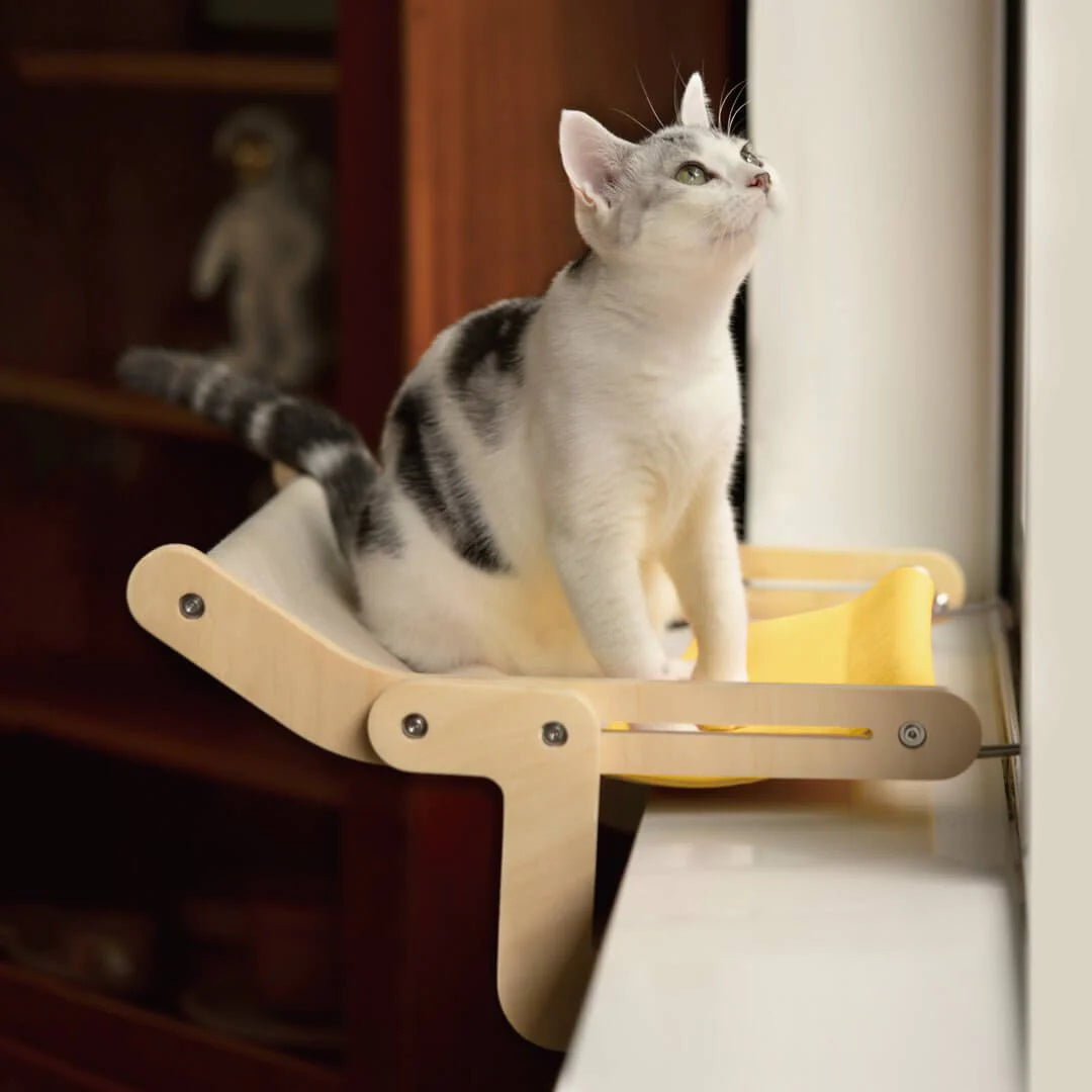 Sturdy Hanging Cat Bed - Pawsyhome
