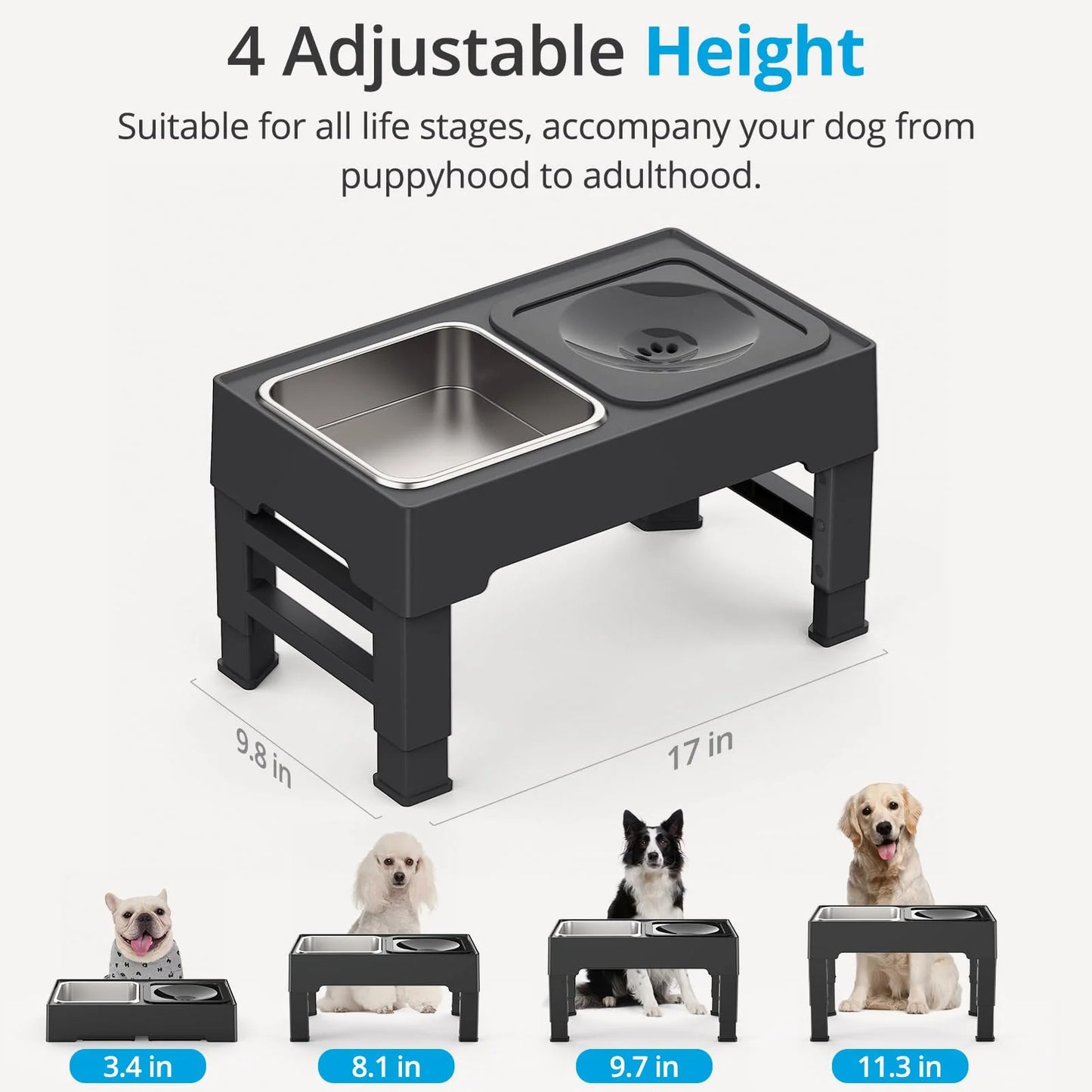 Elevated Mess-Free Dog Bowl - Pawsyhome