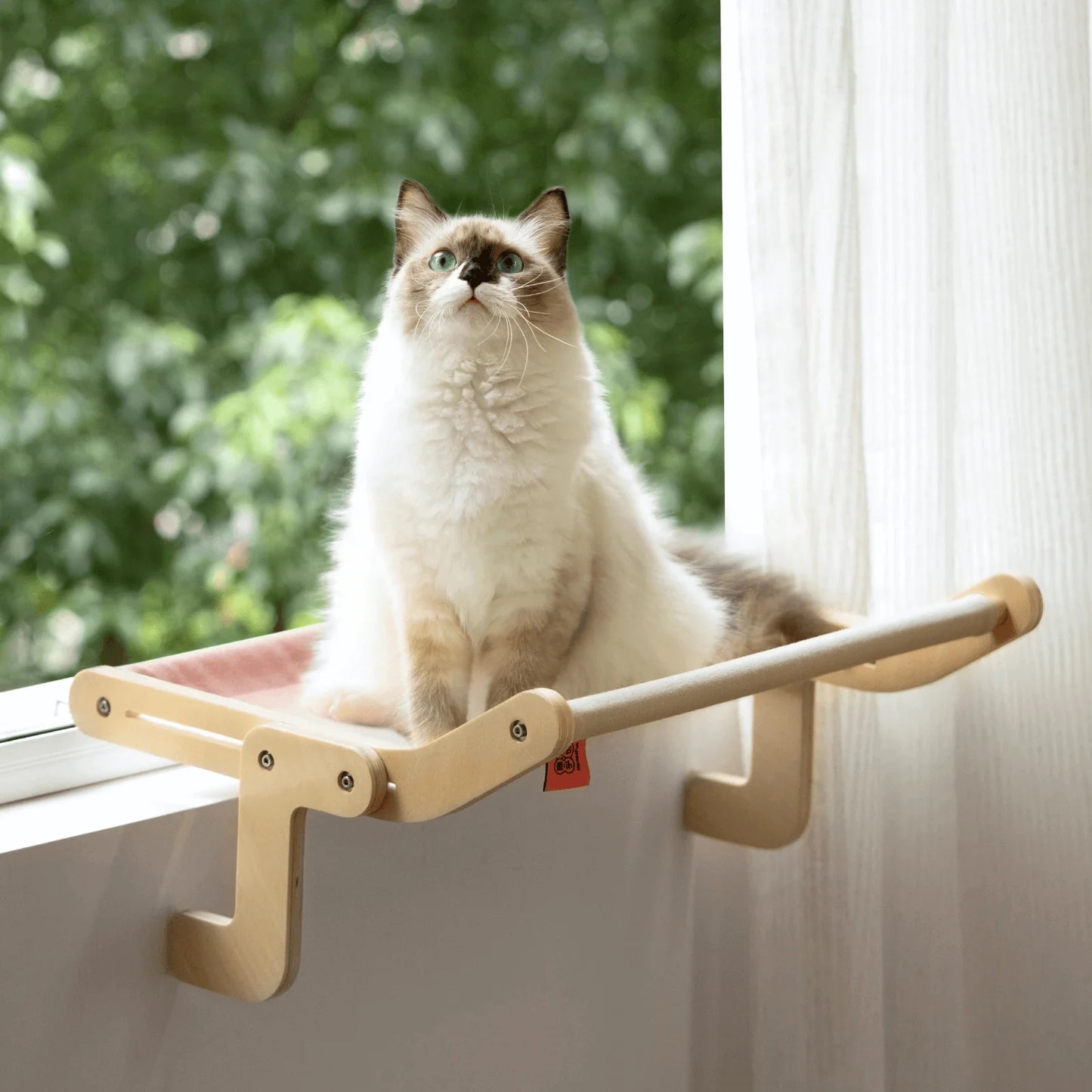 Sturdy Hanging Cat Bed - Pawsyhome
