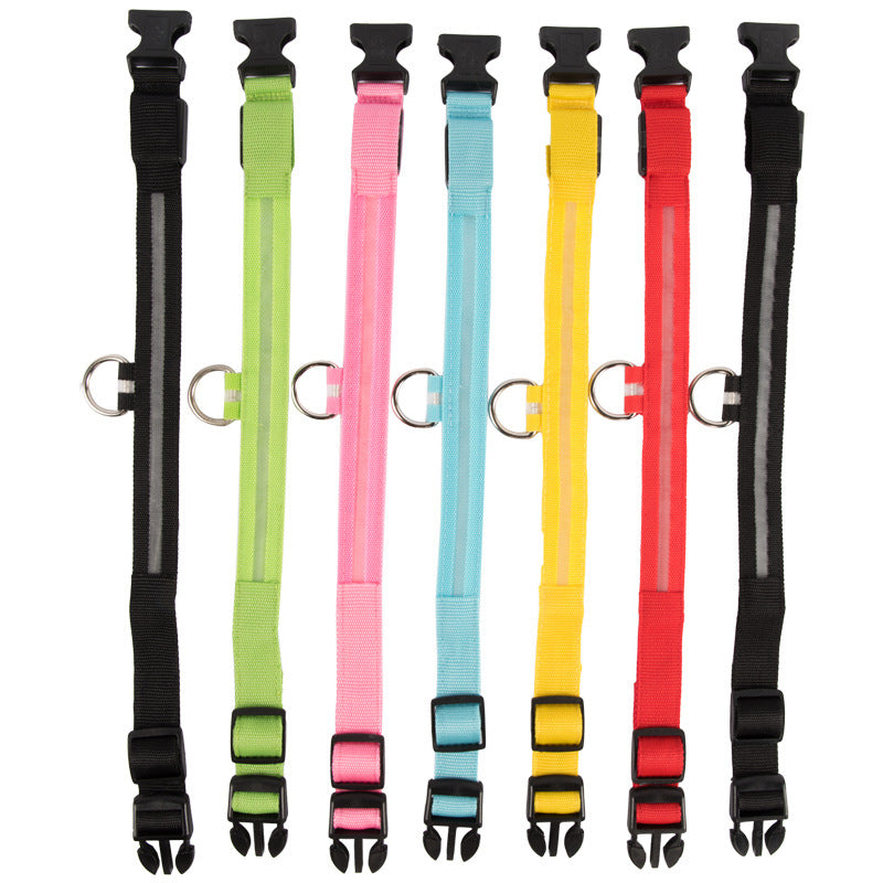 LED Glowing Dog Collars Rechargeable - Pawsyhome