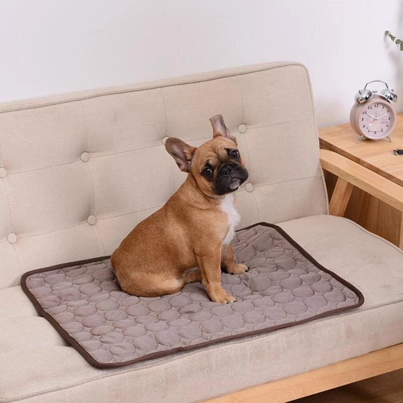 Summer Cooling Pad Mat for Dogs - Pawsyhome