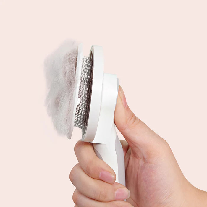Self-Cleaning Pet Brush - Pawsyhome