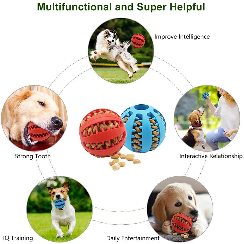 Elastic Chew Toy for Dogs - Pawsyhome