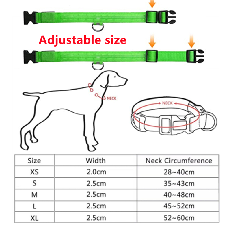 LED Glowing Dog Collars Rechargeable - Pawsyhome