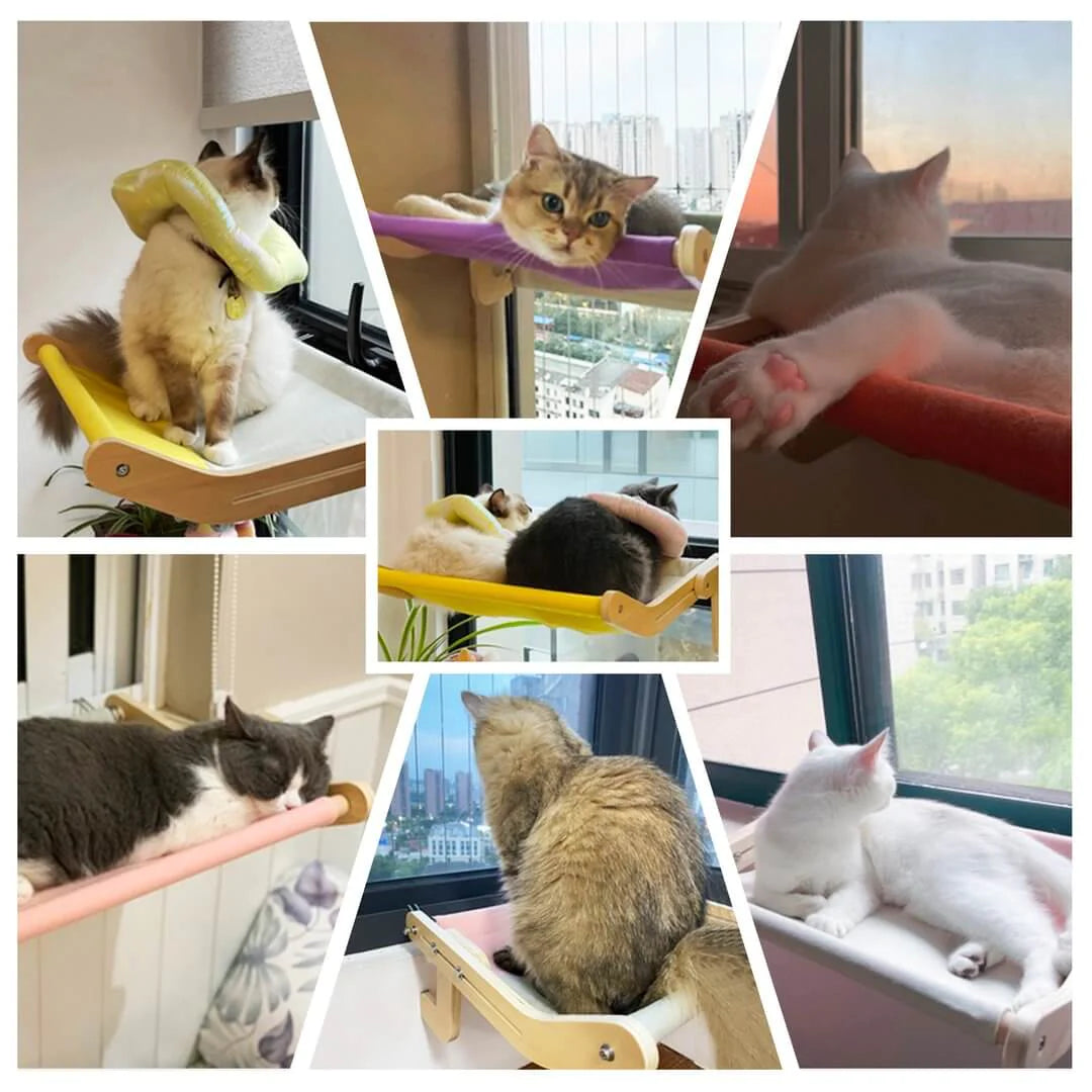 Sturdy Hanging Cat Bed - Pawsyhome