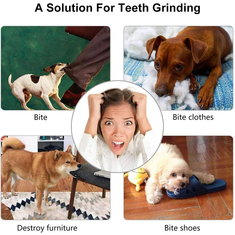 Elastic Chew Toy for Dogs - Pawsyhome