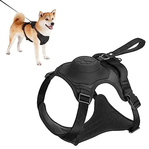 Dog Harness and Automatic Retractable Leash Kit - Pawsyhome