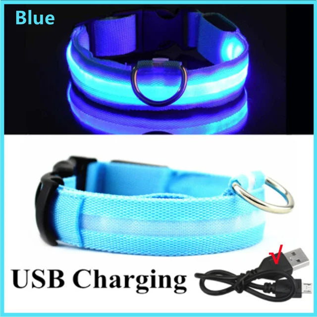 LED Glowing Dog Collars Rechargeable - Pawsyhome