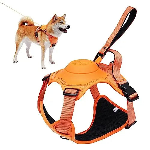 Dog Harness and Automatic Retractable Leash Kit - Pawsyhome