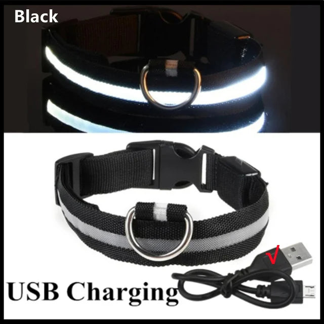 LED Glowing Dog Collars Rechargeable - Pawsyhome