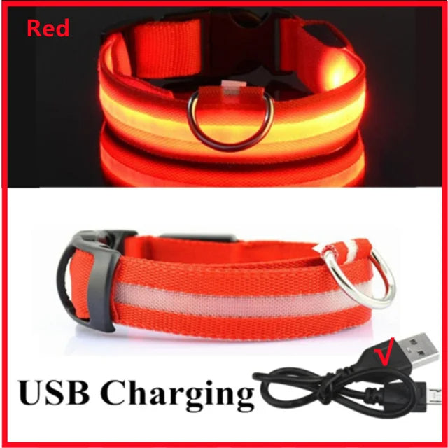 LED Glowing Dog Collars Rechargeable - Pawsyhome