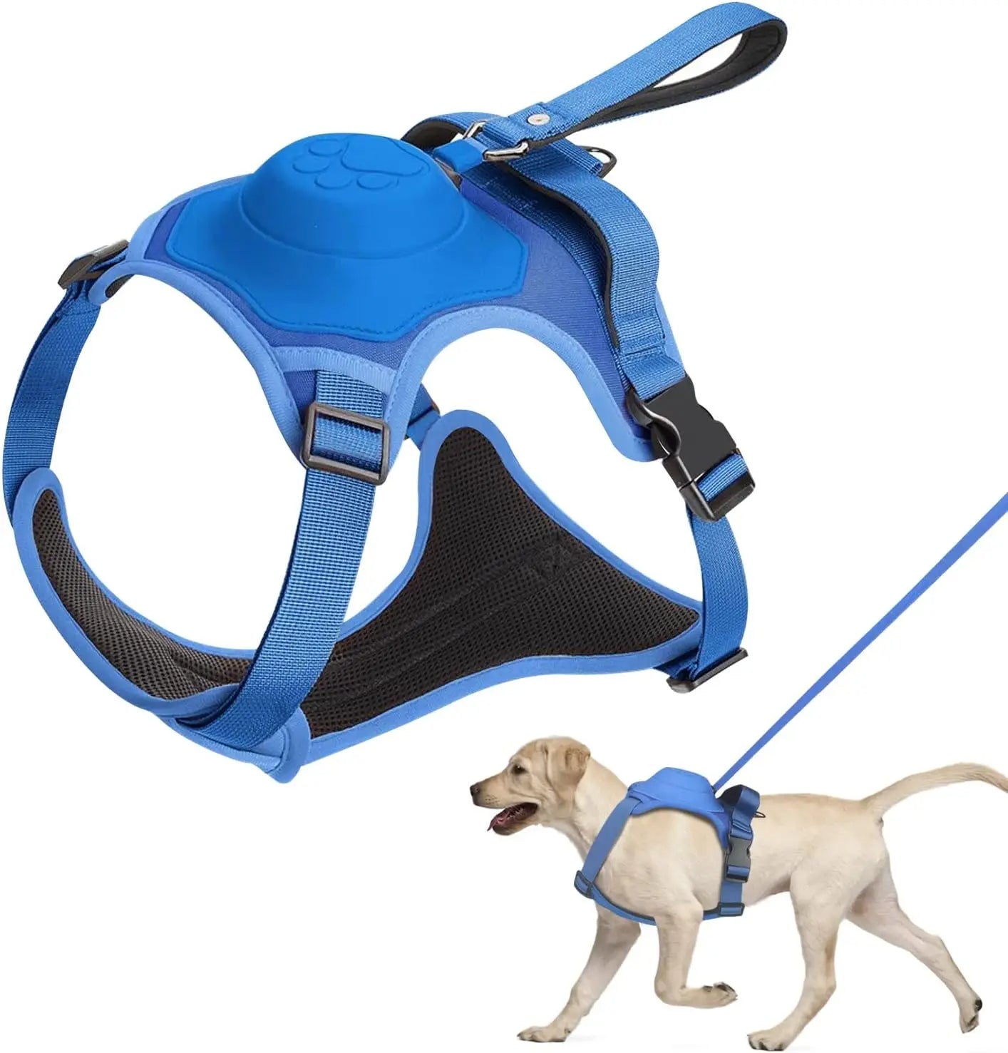 Dog Harness and Automatic Retractable Leash Kit - Pawsyhome