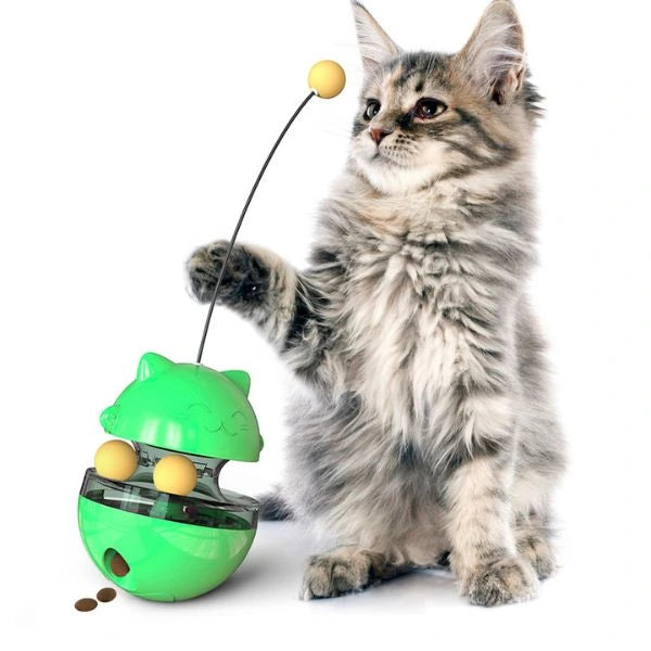 Cat Food Dispenser 02
