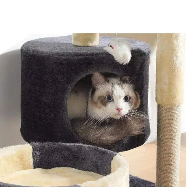 cat toy