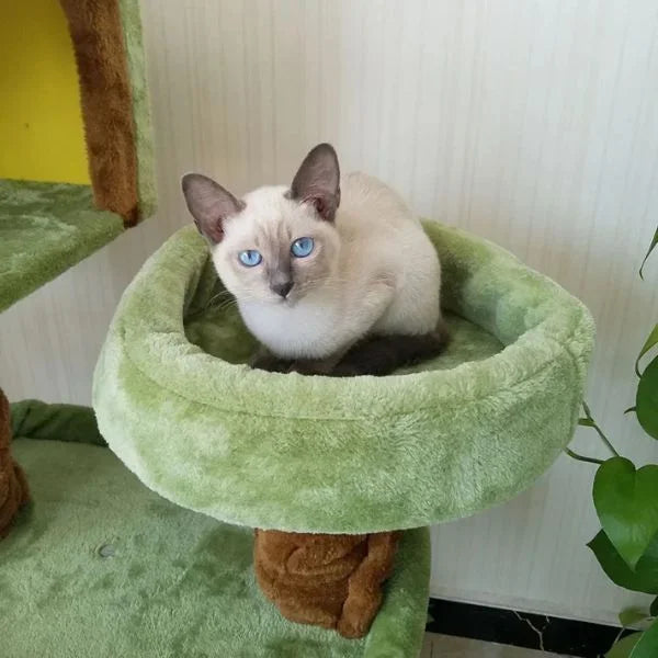 cat toy 02