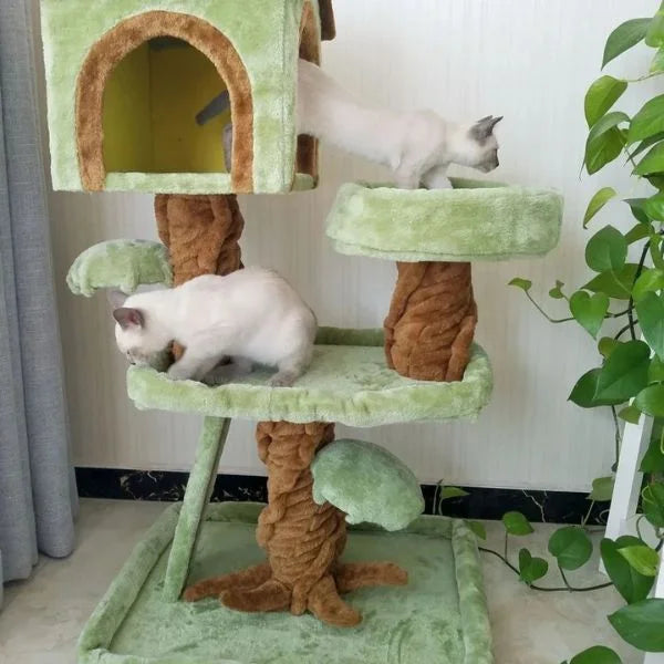 Cat Furniture