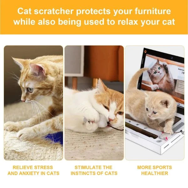 cat scratching board 02
