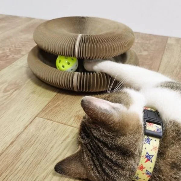 cat strach toy