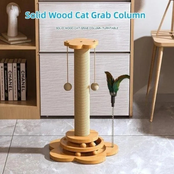 cat scratching 02