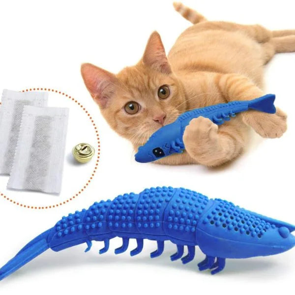 cat toys