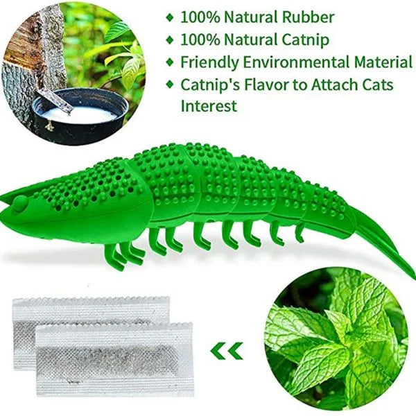 Cat Toothbrush PurrClean 02