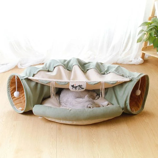 cat beds