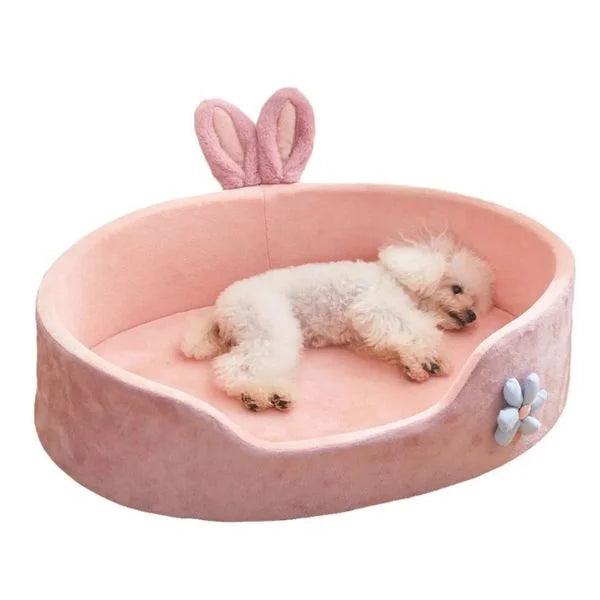 Dog Beds