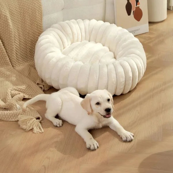 Dog Bed Pawsy Home