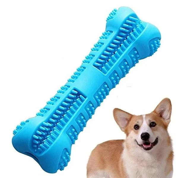 Dental Care For Dogs 01