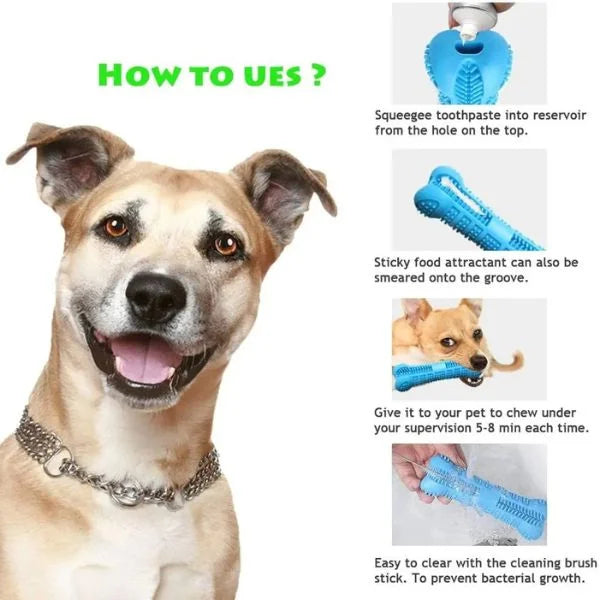 Dog Dental Care