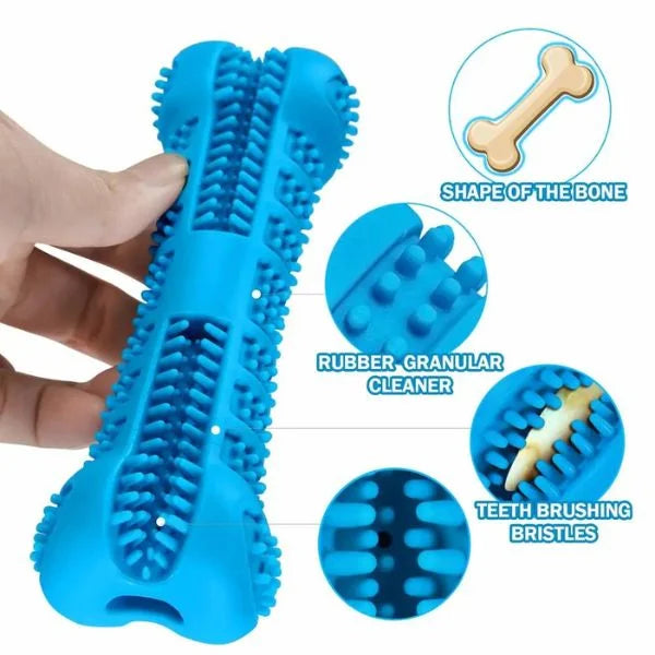 Canine Dental Care