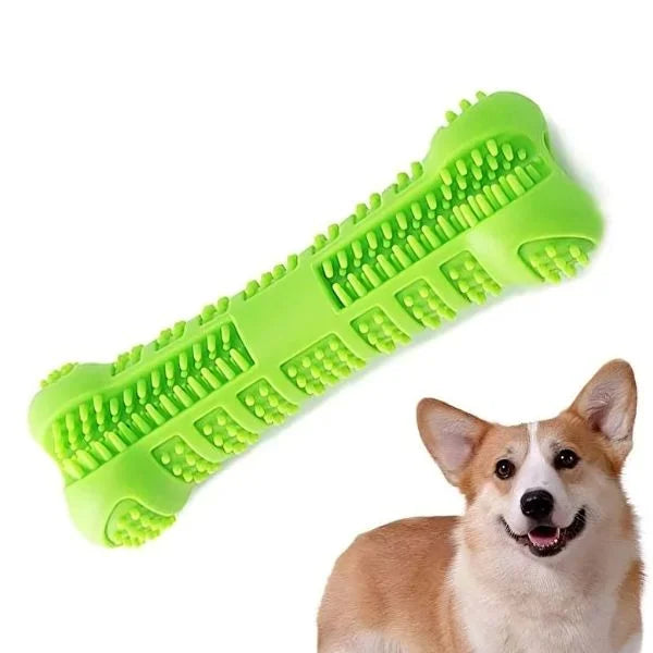 Dental Care For Dogs 02