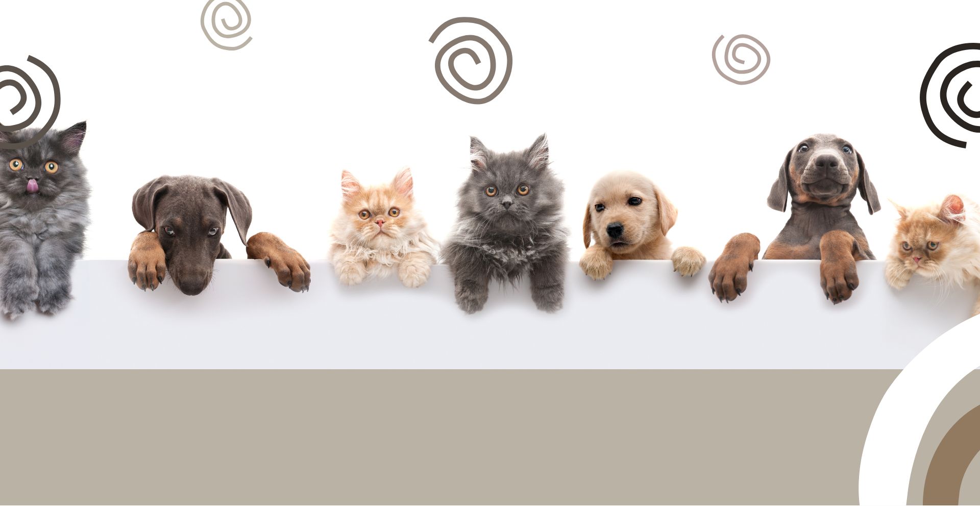 Pawsy Home UK