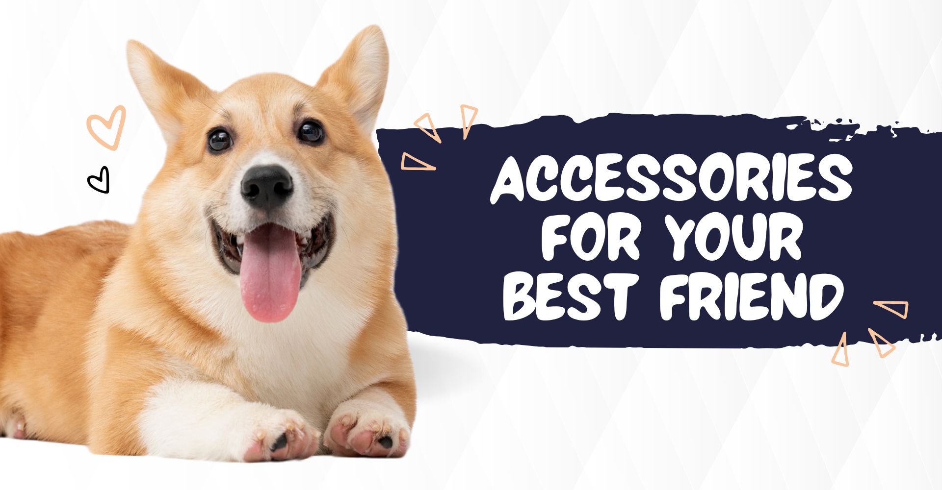 Pet Accessories UK