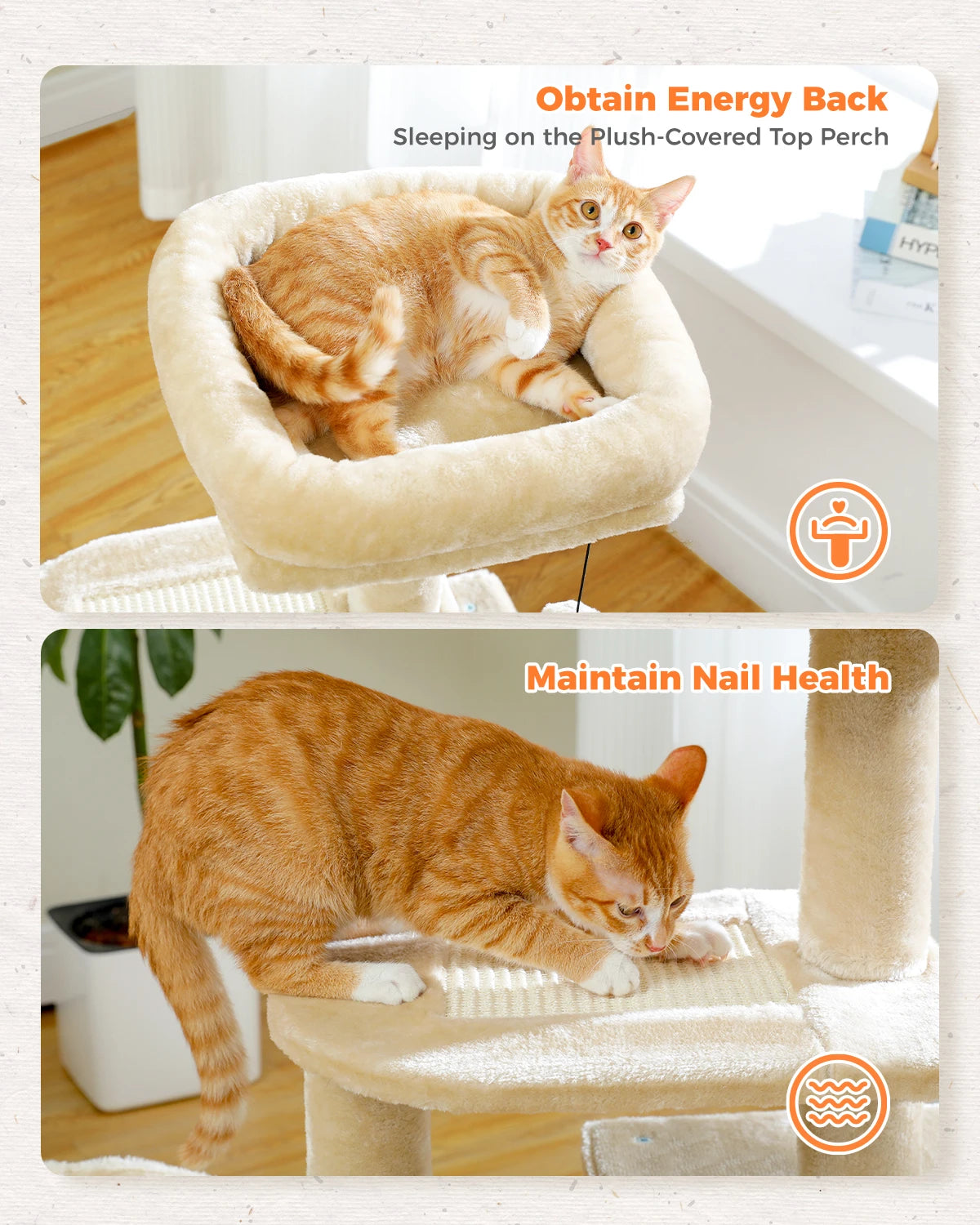 Cat Furniture – CozyPod - Pawsyhome