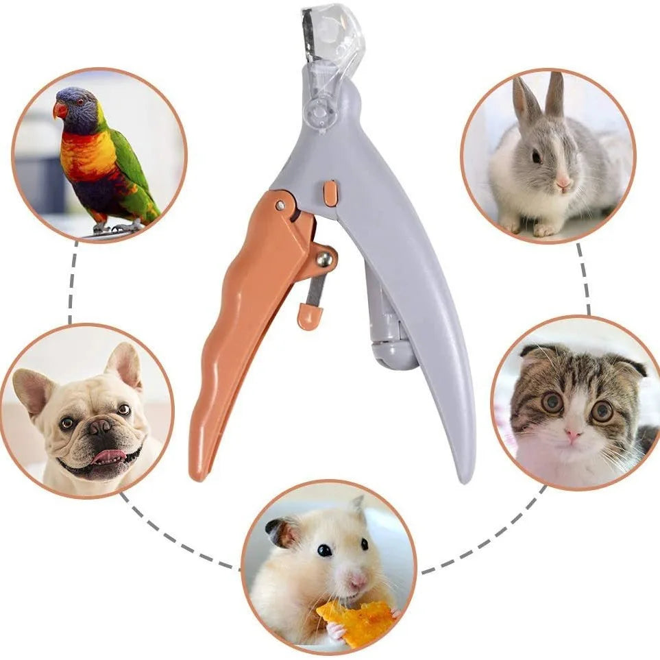 Pet Nail Clipper Scissors With LED Light Cat Dog Nail Clippers Tool Scissors Toeclaw Cutter Scissors Pet Supplier Cleaning tools - Pawsyhome