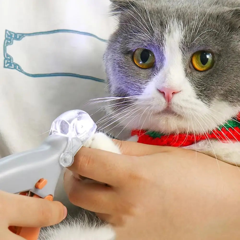 Dog Nail Clipper LumiGuard